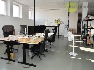 Pronájem obchodního prostoru, Ostrava, Cihelní, 701 m2