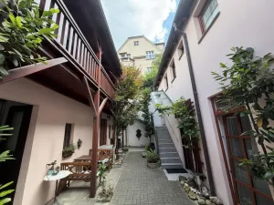 Pronájem bytu 1+kk, Praha - Braník, Na vinohradu, 22 m2