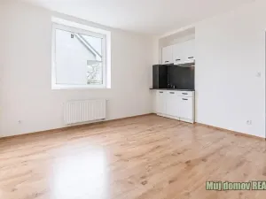 Pronájem bytu 1+kk, Praha - Břevnov, Na břevnovské pláni, 22 m2