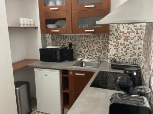 Pronájem bytu 2+kk, Karlovy Vary, Libušina, 31 m2