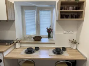 Pronájem bytu 1+kk, Opava - Předměstí, Alšova, 15 m2
