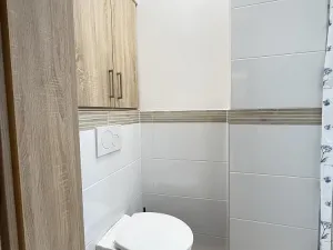 Pronájem bytu 1+kk, Opava - Předměstí, Alšova, 15 m2