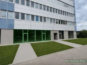 Pronájem obchodního prostoru, Praha - Strašnice, V olšinách, 121 m2