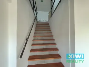Prodej výrobních prostor, Doloplazy, 745 m2