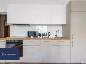 Pronájem bytu 2+kk, Praha - Žižkov, Baranova, 65 m2