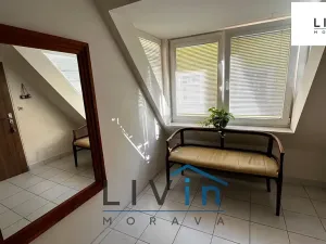 Pronájem bytu 1+kk, Olomouc, Sokolská, 52 m2