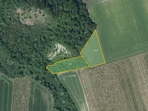 Prodej pole, Želkovice, 133318 m2