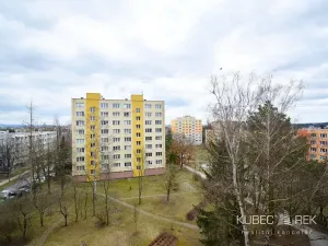 Pronájem bytu 3+1, Tábor, Buzulucká, 63 m2