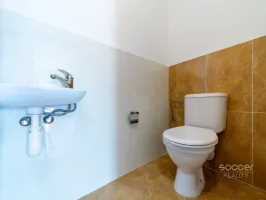 Prodej bytu 3+kk, Šestajovice, Pražská, 64 m2