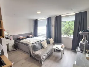 Prodej bytu 1+kk, Teplice - Trnovany, Seifertova, 31 m2