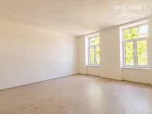 Pronájem bytu 1+kk, České Budějovice - České Budějovice 3, Rudolfovská tř., 42 m2