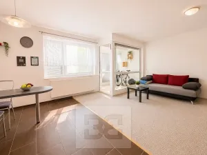 Pronájem bytu 1+kk, Brno, Hvozdecká, 40 m2