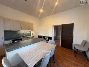 Pronájem bytu 3+1, Most - Čepirohy, Sadová, 150 m2