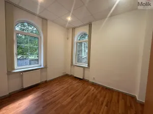 Pronájem bytu 3+1, Most - Čepirohy, Sadová, 150 m2