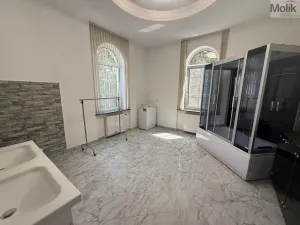 Pronájem bytu 3+1, Most - Čepirohy, Sadová, 150 m2