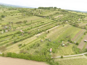 Prodej sadu/vinice, Strážnice, 3526 m2