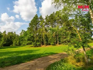 Prodej lesa, Petrovice - Žemličkova Lhota, 7042 m2