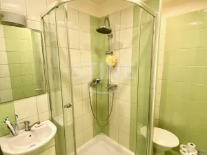 Prodej bytu 1+kk, Opava - Kateřinky, Ratibořská, 22 m2