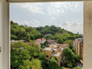 Prodej bytu 1+1, Praha - Braník, Branická, 46 m2