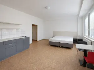 Pronájem bytu 1+kk, Praha - Smíchov, Křížová, 35 m2