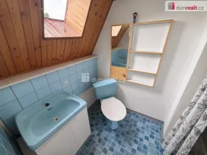 Prodej chaty, Cheb - Dřenice, 50 m2