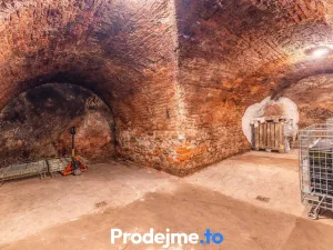 Prodej - jiné, Nový Šaldorf-Sedlešovice, 478 m2