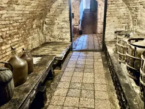 Prodej vinného sklepa, Mutěnice, 141 m2