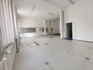 Pronájem výrobních prostor, Brno, Šujanovo náměstí, 134 m2