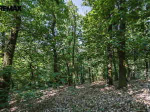 Prodej chaty, Zdiby - Brnky, Na Vinici, 24 m2