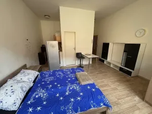 Pronájem bytu 1+kk, Klatovy, Denisova, 33 m2