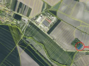 Prodej lesa, Děčany, 1581 m2
