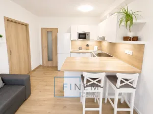 Pronájem bytu 2+kk, Kralupy nad Vltavou - Minice, Souběžná, 40 m2
