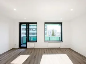 Pronájem bytu 1+kk, Praha - Žižkov, Olgy Havlové, 40 m2