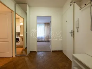 Pronájem bytu 2+kk, Praha - Lhotka, Jílovská, 61 m2