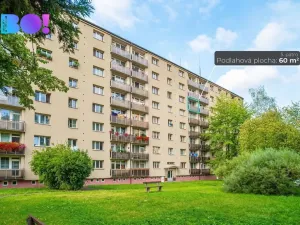 Pronájem bytu 2+1, Český Těšín, Slezská, 60 m2