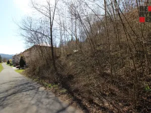 Prodej pozemku pro bydlení, Železný Brod, Chvalíkovická, 786 m2
