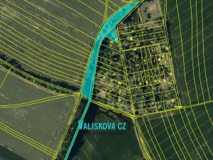 Prodej lesa, Kroměříž, Lutopecká, 7694 m2