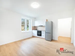 Pronájem bytu 2+kk, Ostrava - Mariánské Hory, Bílá, 37 m2