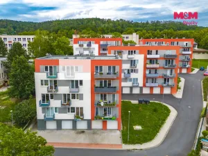 Pronájem bytu 1+kk, Plasy, U Václava, 38 m2