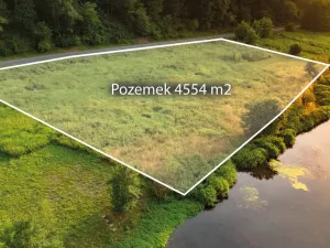 Prodej louky, Nižbor - Žloukovice, 4554 m2