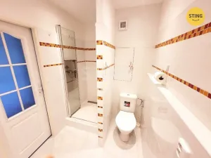 Pronájem bytu 1+1, Opava, Zeyerova, 40 m2