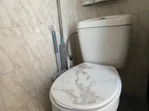 Prodej rodinného domu, Dřevohostice, Chaloupky, 110 m2
