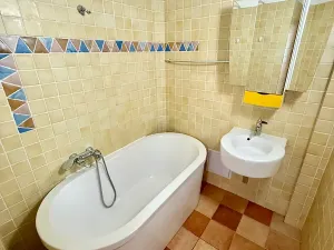 Pronájem bytu 1+1, Praha - Žižkov, Baranova, 56 m2