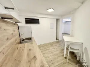 Pronájem bytu 2+1, Ústín, 40 m2
