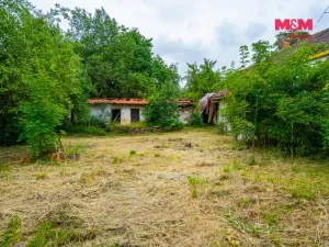 Prodej zemědělské usedlosti, Obrataň, 100 m2