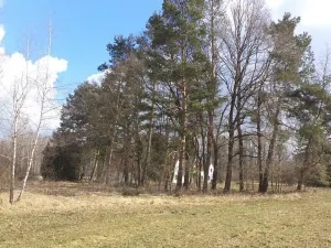 Prodej pozemku, Lužnice, 117 m2