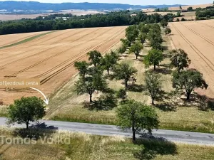 Prodej sadu/vinice, Troubky-Zdislavice, 19632 m2