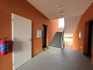 Pronájem bytu 2+kk, Teplice, Albrechtova, 70 m2