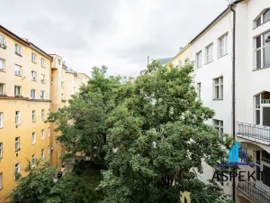 Pronájem bytu 2+1, Praha - Vinohrady, Milešovská, 72 m2