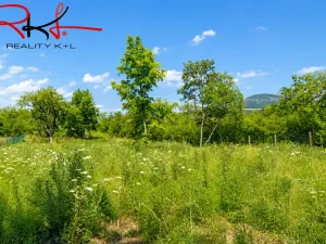 Prodej zahrady, Černouček, 5000 m2